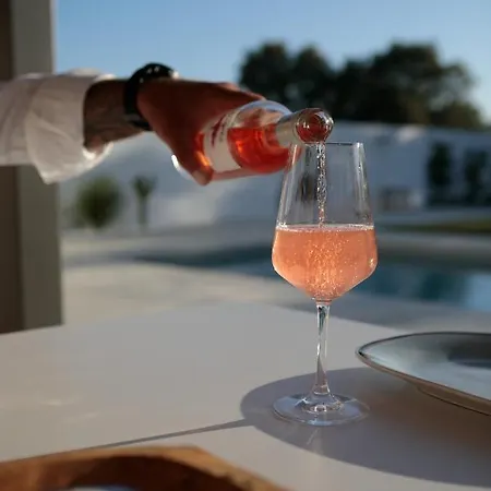 Villa Stone Naxos