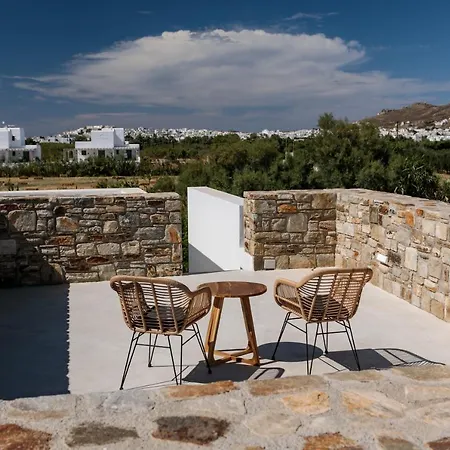 Villa Stone Naxos Naxos City